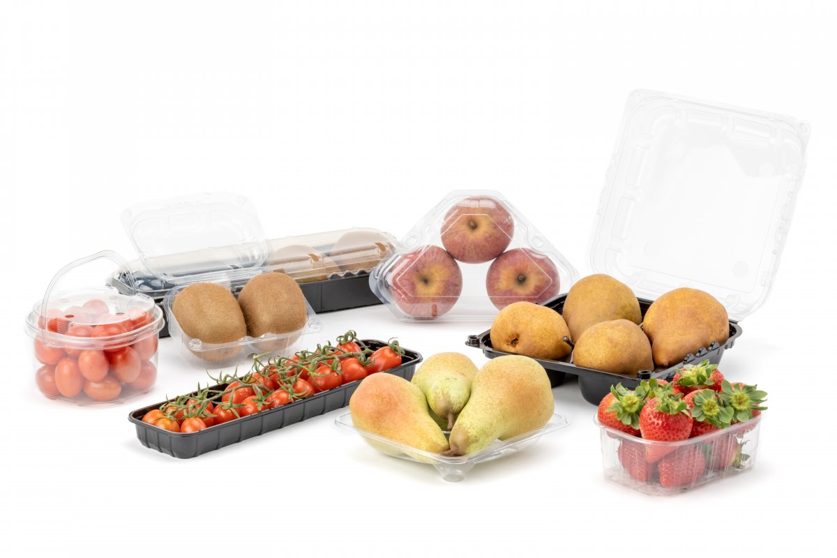 Punnets and Trays in R-PET, PET and PP